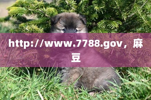 http://www.7788.gov，麻豆