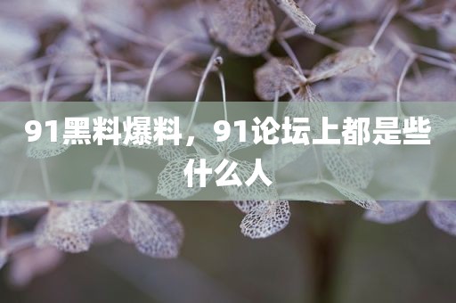 91黑料爆料，91论坛上都是些什么人