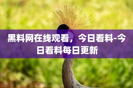 黑料网在线观看，今日看料-今日看料每日更新