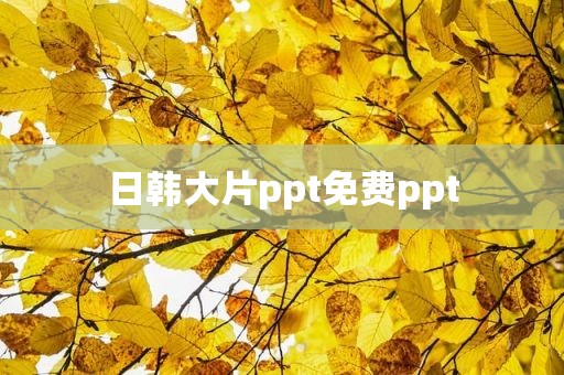日韩大片ppt免费ppt