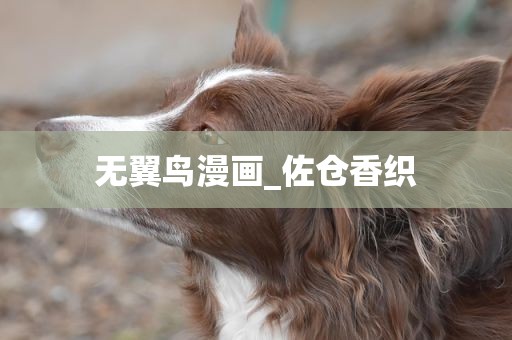 无翼鸟漫画_佐仓香织