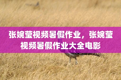 张婉莹视频暑假作业，张婉莹视频暑假作业大全电影
