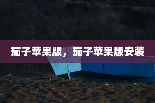 茄子苹果版，茄子苹果版安装