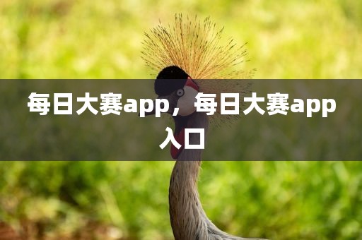 每日大赛app，每日大赛app入口