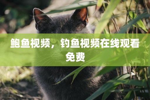 鲍鱼视频，钓鱼视频在线观看免费