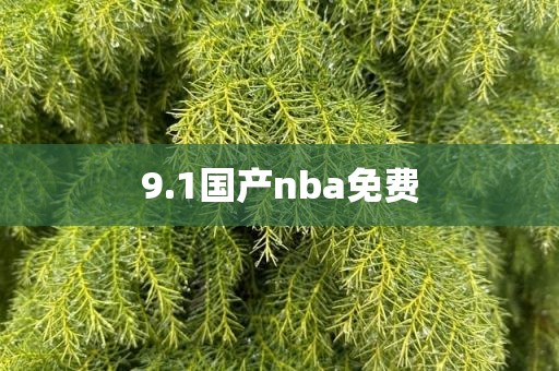9.1国产nba免费