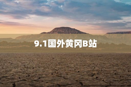9.1国外黄冈B站