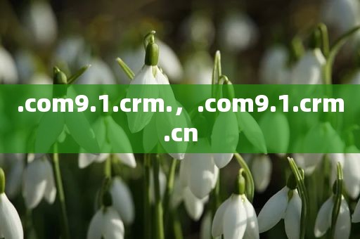 .com9.1.crm.，.com9.1.crm.cn