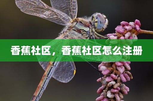 香蕉社区，香蕉社区怎么注册