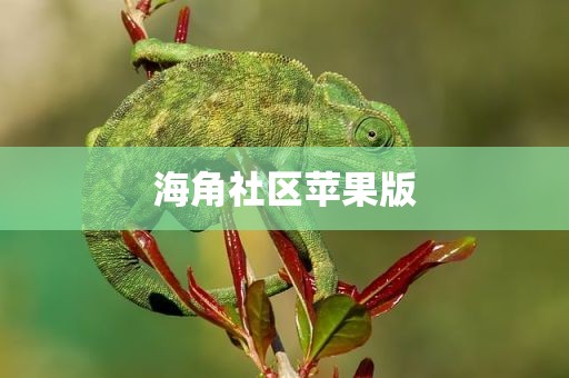 海角社区苹果版