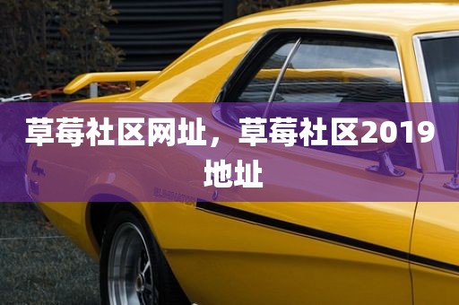 草莓社区网址，草莓社区2019 地址