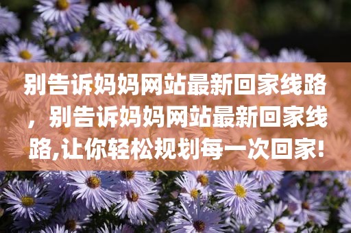 别告诉妈妈网站最新回家线路，别告诉妈妈网站最新回家线路,让你轻松规划每一次回家!