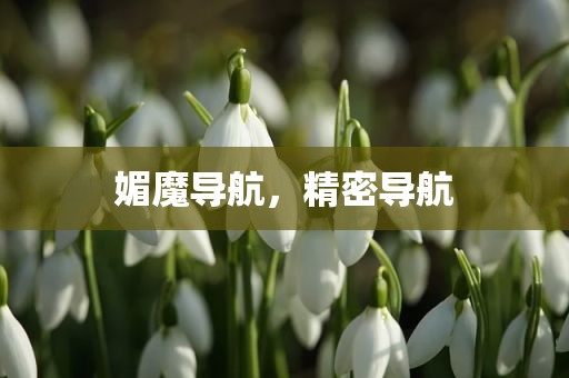 媚魔导航，精密导航