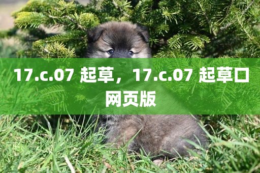 17.c.07 起草，17.c.07 起草口网页版