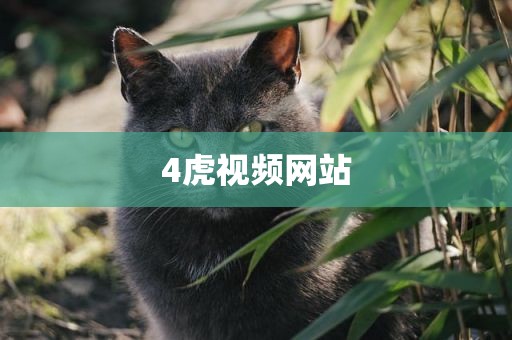 4虎视频网站