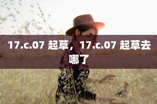 17.c.07 起草，17.c.07 起草去哪了