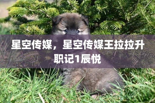 星空传媒，星空传媒王拉拉升职记1辰悦