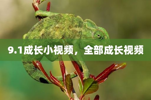 9.1成长小视频，全部成长视频