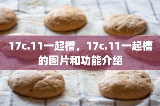17c.11一起槽，17c.11一起槽的图片和功能介绍