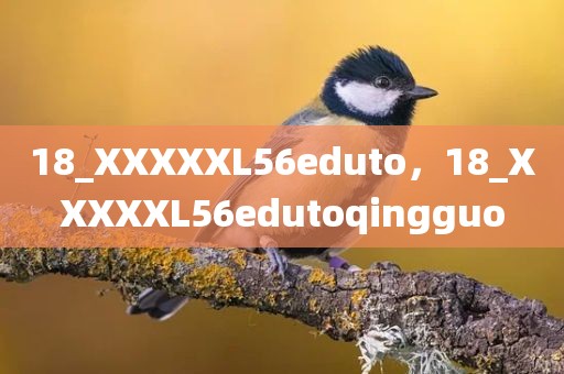 18_XXXXXL56eduto，18_XXXXXL56edutoqingguo