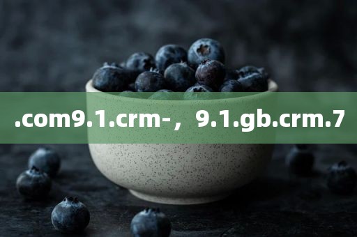 .com9.1.crm-，9.1.gb.crm.7