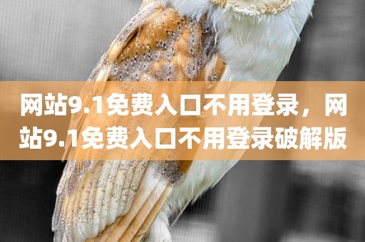 网站9.1免费入口不用登录，网站9.1免费入口不用登录破解版