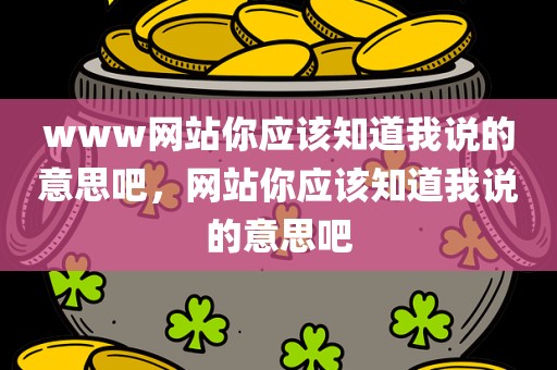 www网站你应该知道我说的意思吧，网站你应该知道我说的意思吧