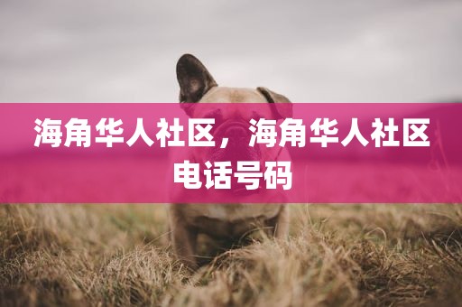 海角华人社区，海角华人社区电话号码