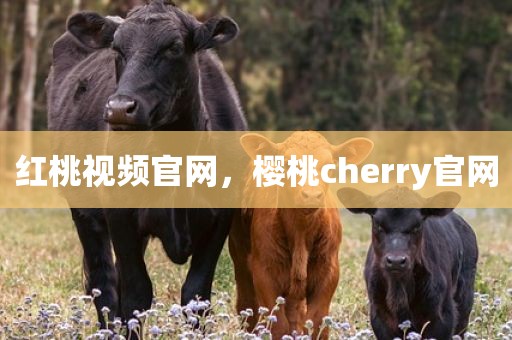 红桃视频官网，樱桃cherry官网