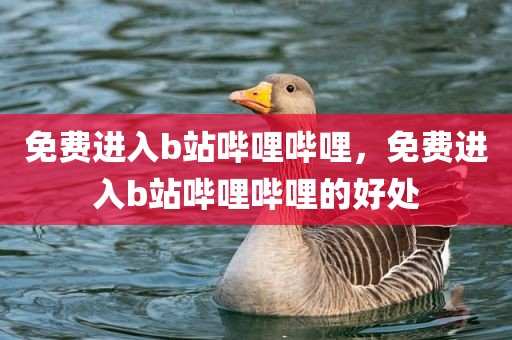 免费进入b站哔哩哔哩，免费进入b站哔哩哔哩的好处
