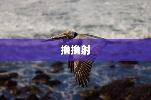 撸撸射