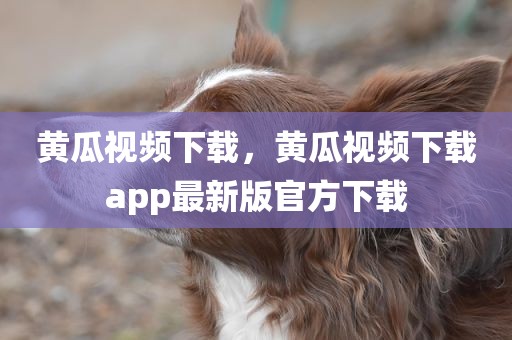 黄瓜视频下载，黄瓜视频下载app最新版官方下载