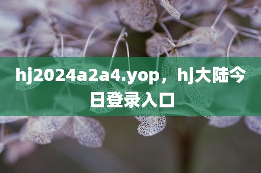 hj2024a2a4.yop，hj大陆今日登录入口