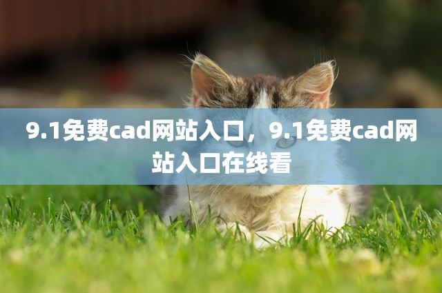 9.1免费cad网站入口，9.1免费cad网站入口在线看
