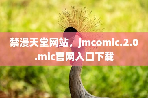 禁漫天堂网站，jmcomic.2.0.mic官网入口下载