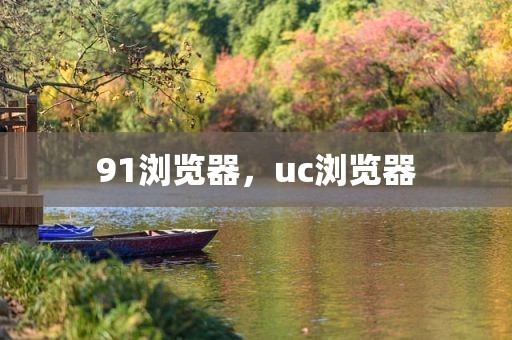 91浏览器，uc浏览器