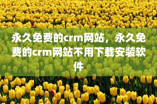 永久免费的crm网站，永久免费的crm网站不用下载安装软件