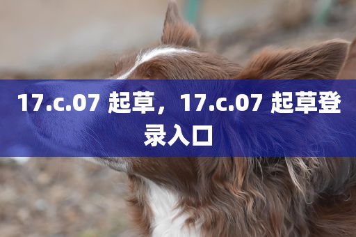 17.c.07 起草，17.c.07 起草登录入口