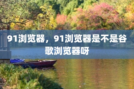91浏览器，91浏览器是不是谷歌浏览器呀