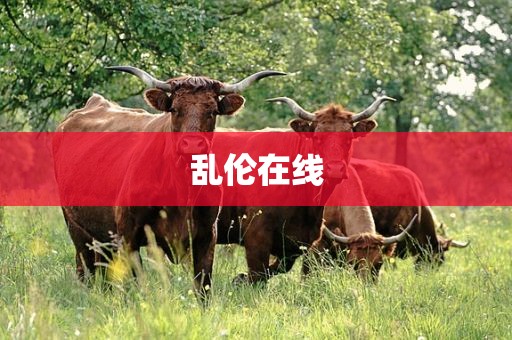 乱伦在线