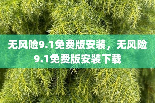 无风险9.1免费版安装，无风险9.1免费版安装下载
