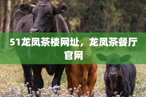 51龙凤茶楼网址，龙凤茶餐厅官网