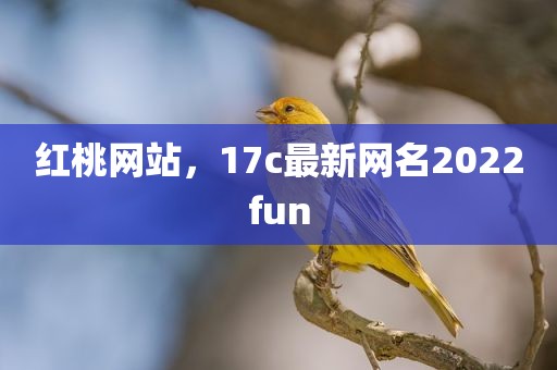红桃网站，17c最新网名2022fun