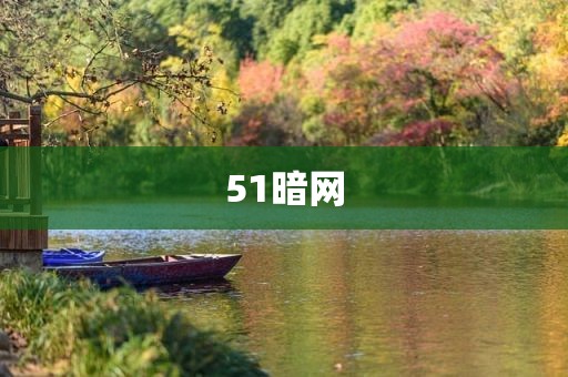 51暗网