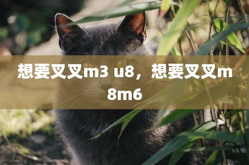 想要叉叉m3 u8，想要叉叉m8m6