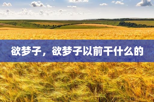 欲梦子，欲梦子以前干什么的