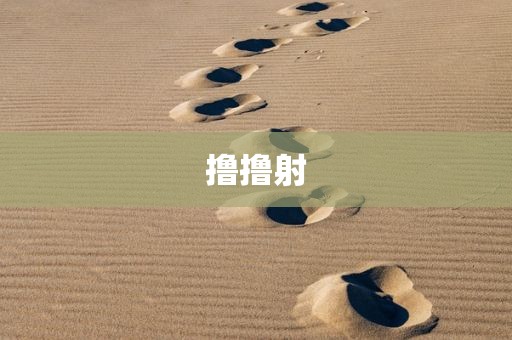 撸撸射