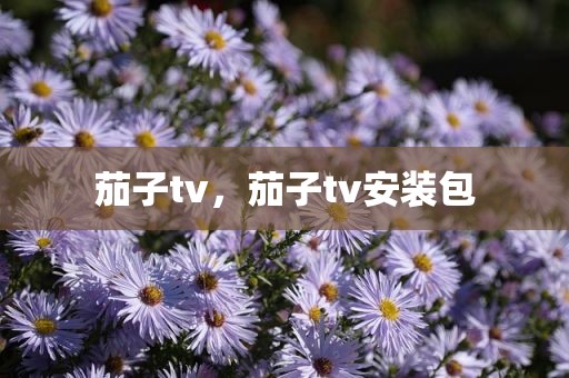 茄子tv，茄子tv安装包