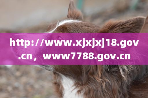 http://www.xjxjxj18.gov.cn，www7788.gov.cn