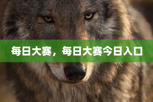 每日大赛，每日大赛今日入口